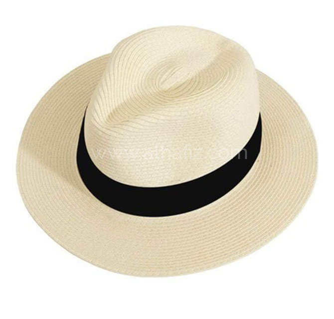 SanthomeÂ® Panama Straw Hat