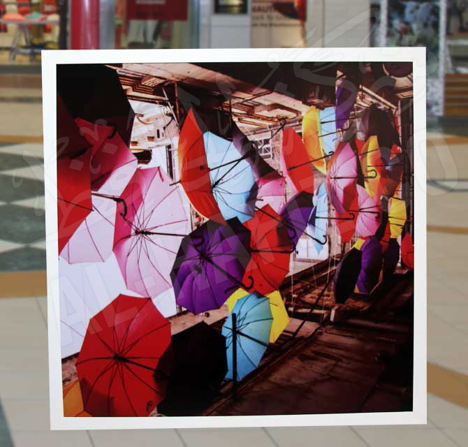 Transparent Acrylic Canvas with Sticker Printing Umbrellas
