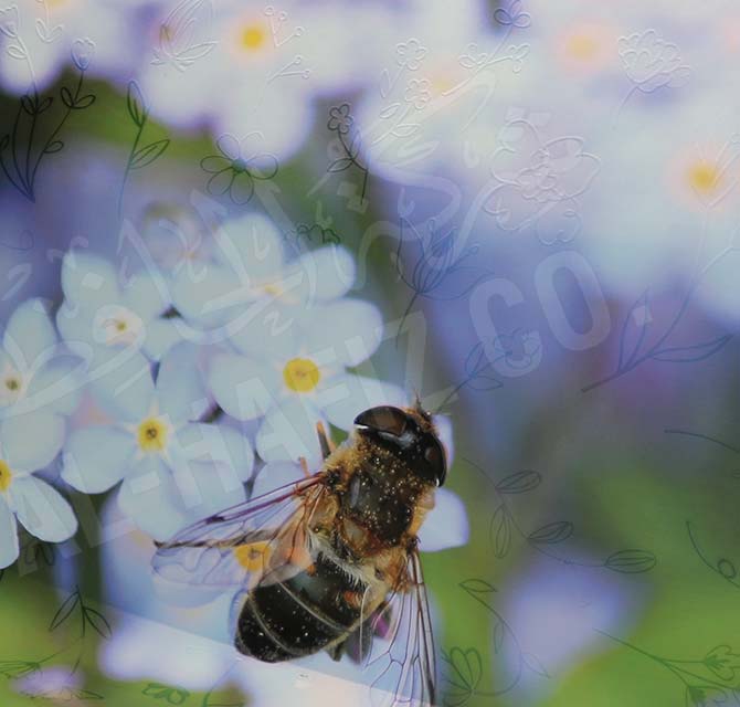 Embossed Bees and Flowers Wallpaper