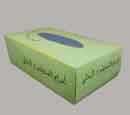 Tissue Box - Green