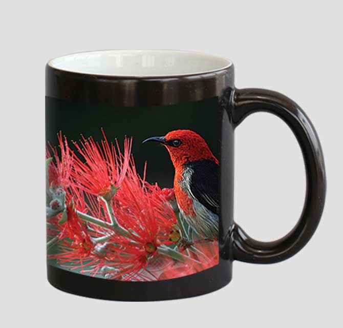 Mug - Colour Changing - Black Matt + Design Revealed