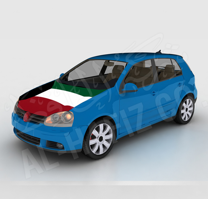 Advertising Promotional Car Flag