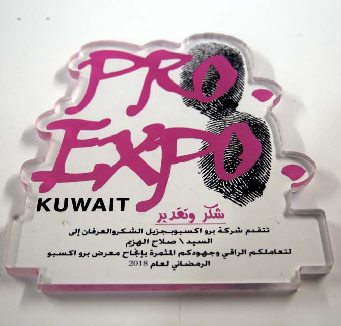 Acrylic Shield - Pro Expo