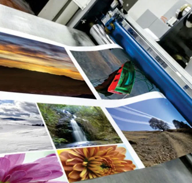 New Year 2020 Posters Printing