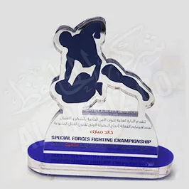 UV Printed Custom Acrylic Sport Shield