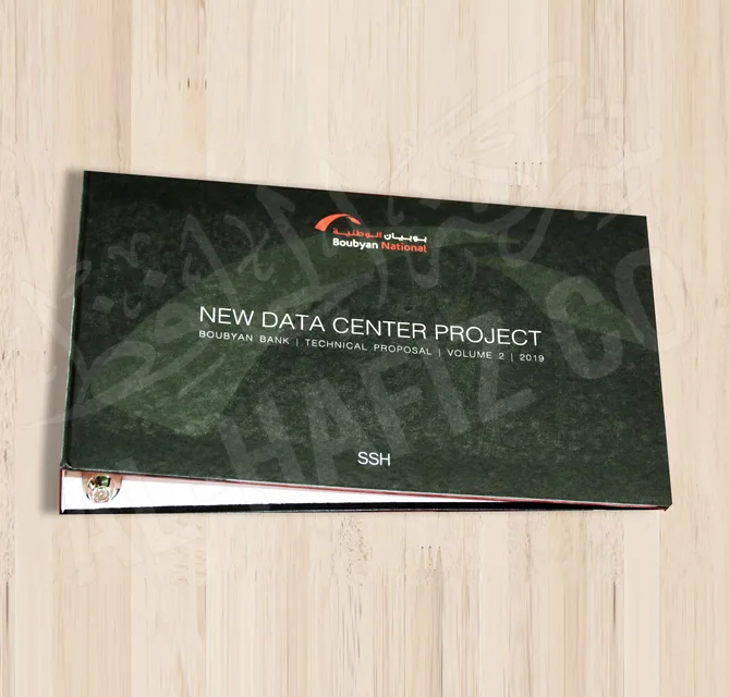 PVC Colored Box File