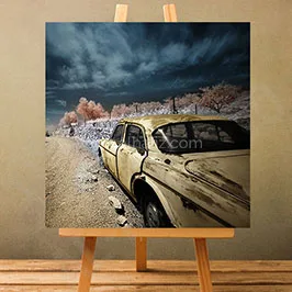 Vintage Car Photo Canvas Print