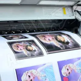 Digital Printing - Large Format Canvas