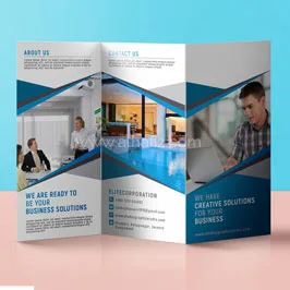 School Tri-Fold Brochure Printing