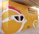 Chicster Hoarding Signage 