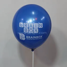 Logo Printed Navy Balloon