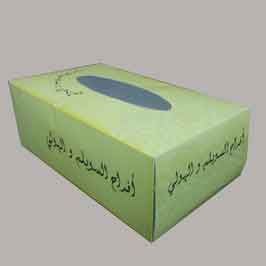 Tissue Box - Green