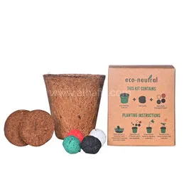 Eco-friendly Office Items
