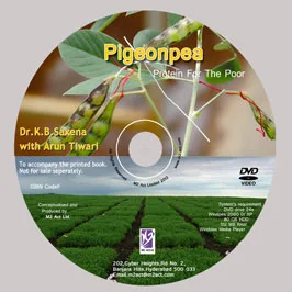 طباعة أغلفة وملصقات CD مخصصة - أخضر