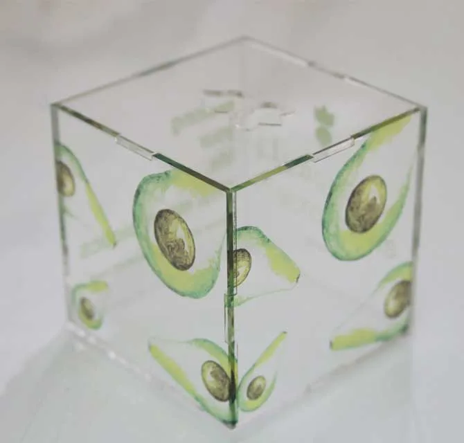 Clear Acrylic Box (5 sided)