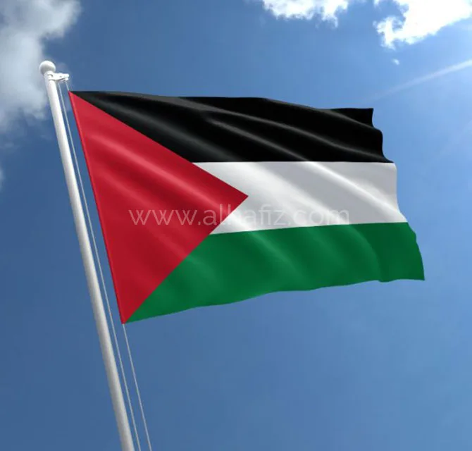 Palestine Flag