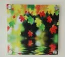 Acrylic Standoff - Wall Decor