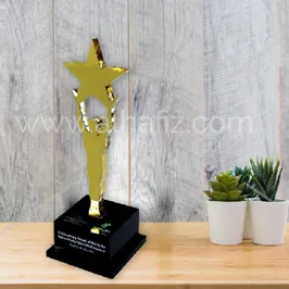 Gold Star Trophy on Black Base
