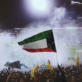 Sports Flags